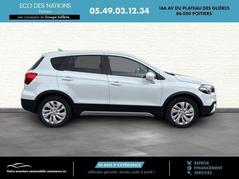 suzuki - Visuel 3