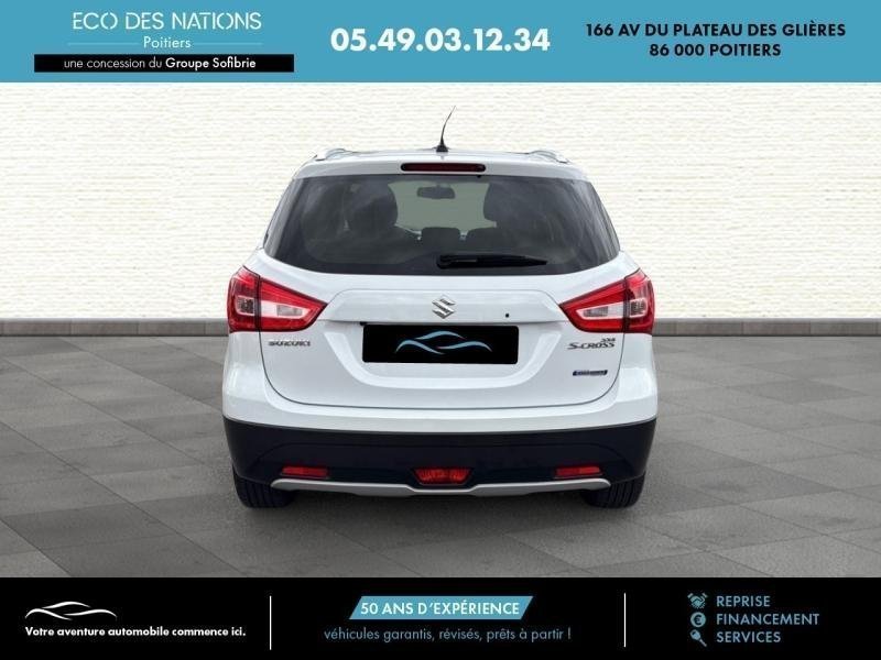 suzuki - Visuel 4