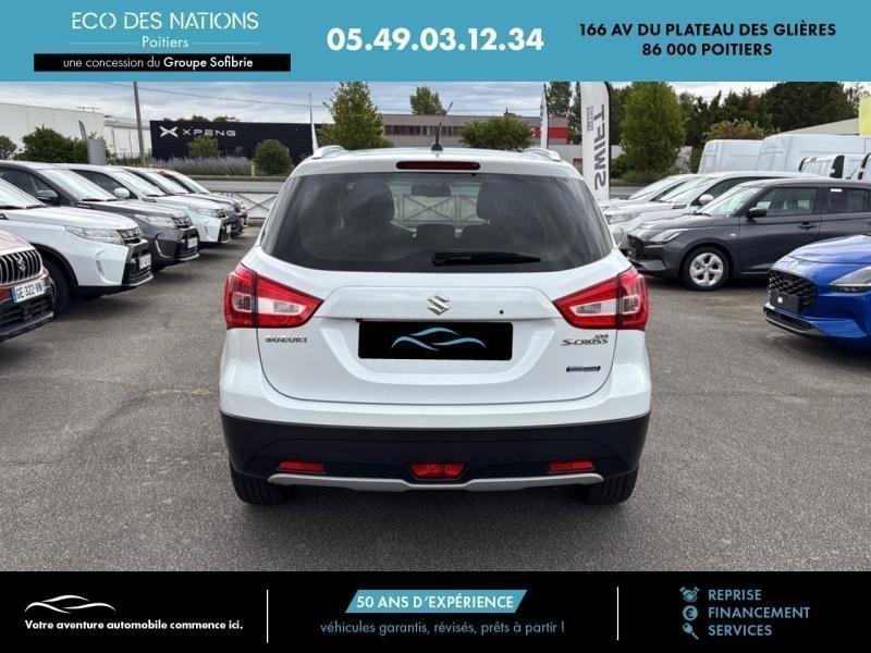 suzuki - Visuel 19